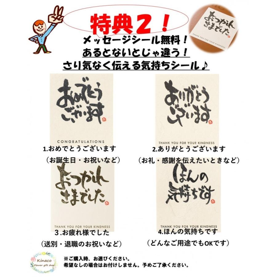 バルーンミニブーケ おんぷ バルーン ソープフラワー 発表会 音楽 ピアノ お祝い お礼 ギフト 全国送料無料 フラワーギフト 3000 0004 Kinacoフラワー 通販 Yahoo ショッピング