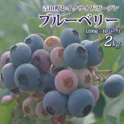 愛媛産 生果 ブルーベリー 2kg （200g×10パック）クール冷蔵便 果物 ✪大粒生ブルーベリー2kg✪クール便