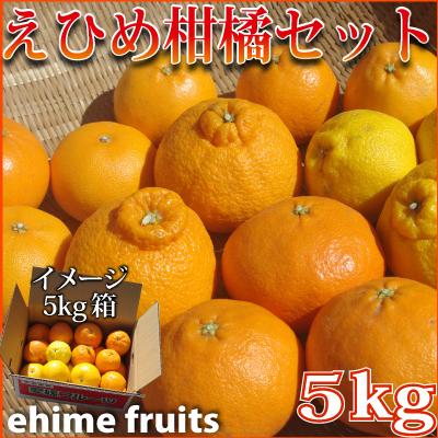第7弾【3月22日一斉発送】愛媛産 柑橘セット5kg（予定：せとか