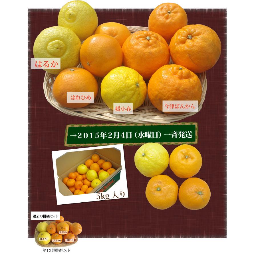 第7弾【3月22日一斉発送】愛媛産 柑橘セット5kg（予定：せとか 