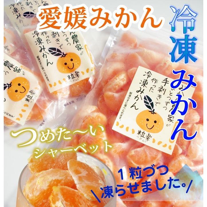 5営業日以内に発送】愛媛産冷凍みかん500g 無添加 粒楽（つぶらく 