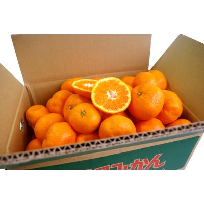 愛媛県産　48号　柑橘　10kg 愛媛県産 家庭用 48号 柑橘 10kg - メルカリ