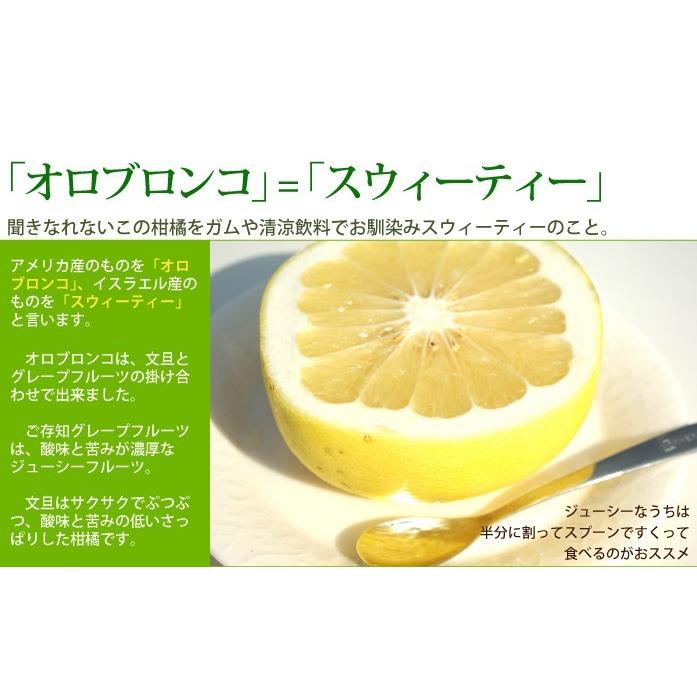 愛媛産 家庭用オロブロンコ10kg（別名オロブランコ、スィーティー