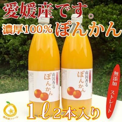 愛媛産ポンカンジュース2本 ストレート果汁1000ml x2本 : きなはいや