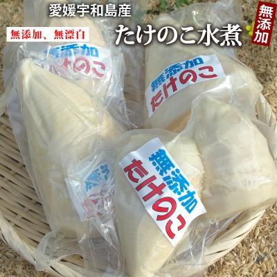 売り込み 令和3年産 愛媛県産たけのこホール水煮1kg 約3〜6袋 新商品 到着後は冷蔵保管をお願いします 送料無料新品 常温発送