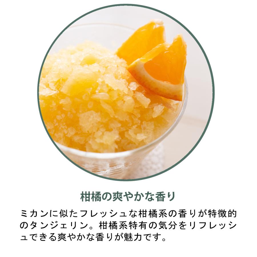 フランス産アロマオイル フローズンタンジェリン 30ml 【 アロマ 