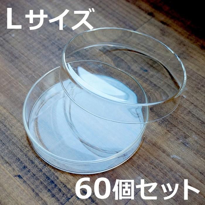 在庫あり  【MKM3VDJFXMQ】 限定デザイン
