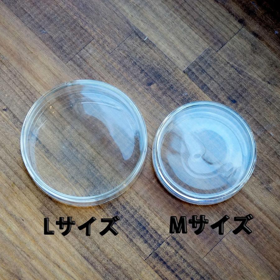 ガラス容器 アロマワックス用 シャーレM【10個】 [日曜祝日 配送