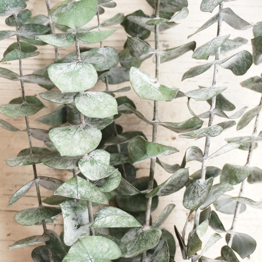 ドライパーツ ソフトユーカリ アロマワックスサシェ材料 キャンドル材料 ドライフラワーアレンジメント用 Dry002 キャンドル材料卸販売キナリ 通販 Yahoo ショッピング