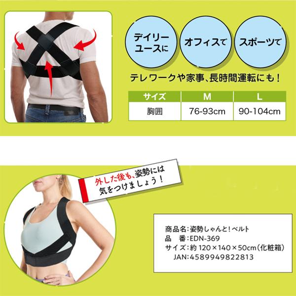 姿勢 しゃんと ベルト 男女兼用 ねこ背 巻き肩 背筋 サポートベルト