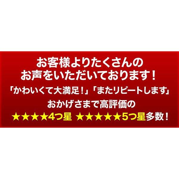 キッズ パンツ 8枚セット ボクサー ショーツ ブリーフ 男の子 女の子  