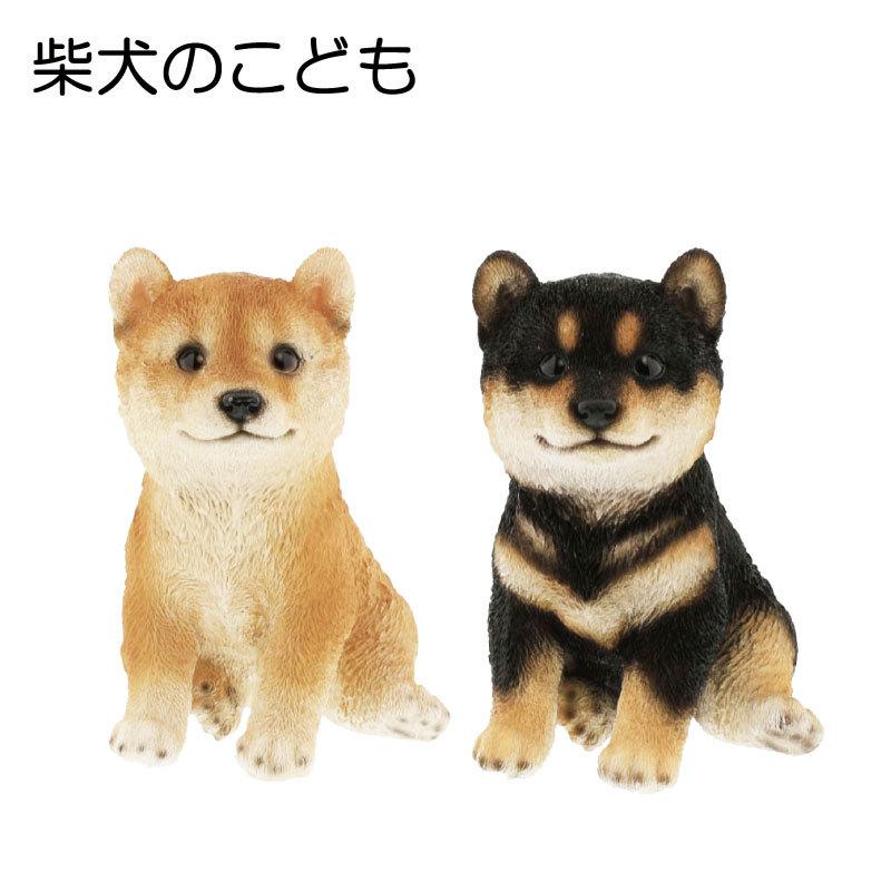 置物 オブジェ 犬 柴犬 シバ 子犬 かわいい 母の日 父の日 誕生日プレゼント 退職祝い 送別 女性 イヌ いぬ プリザ 誕生日 開店祝い お見舞い 結婚祝い ペット Beni Qy039 Gracious Knick Knack 通販 Yahoo ショッピング