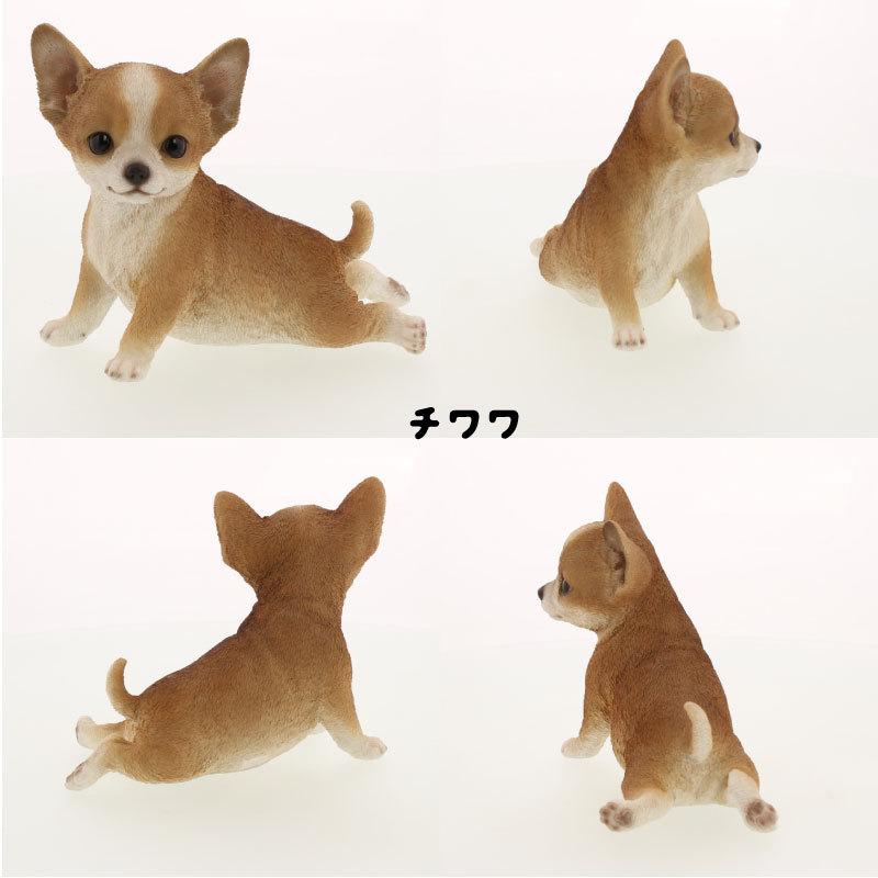 置物 おしゃれ オブジェ 犬 ドッグ ヨガ ガーデン リアル 玄関 置物 おしゃれ オブジェ 犬 ドッグ ヨガ ガーデン リアル 玄関