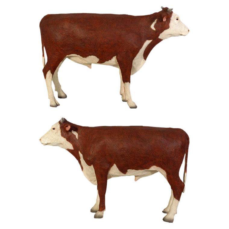 動物 オブジェ ヘレフォード 雄牛 インテリア イベント ディスプレイ Hereford Steerの画像