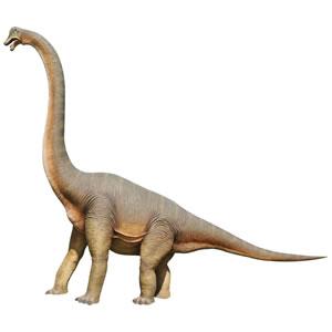 実物大 恐竜 オブジェ 巨大ブラキオサウルス インテリア イベント ディスプレイ Fr Gracious Knick Knack 通販 Yahoo ショッピング