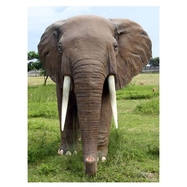 動物 オブジェ アフリカ象 インテリア イベント ディスプレイ African