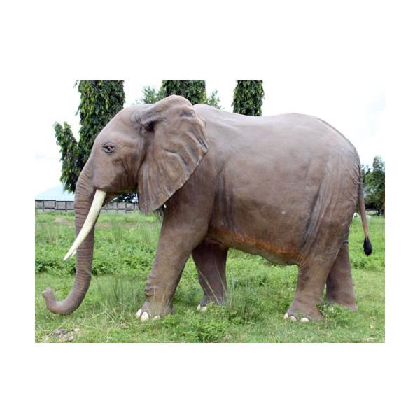 動物 オブジェ アフリカ象 インテリア イベント ディスプレイ African