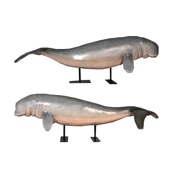 動物 オブジェ ジュゴン・スタンドタイプ インテリア イベント ディスプレイ Dugong on Metal Standの画像