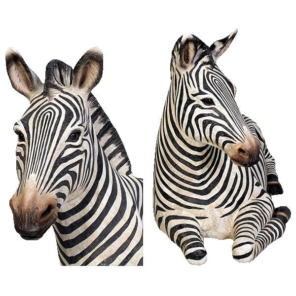 動物 オブジェ シマウマのベンチ インテリア イベント ディスプレイ Zebra Seatの画像