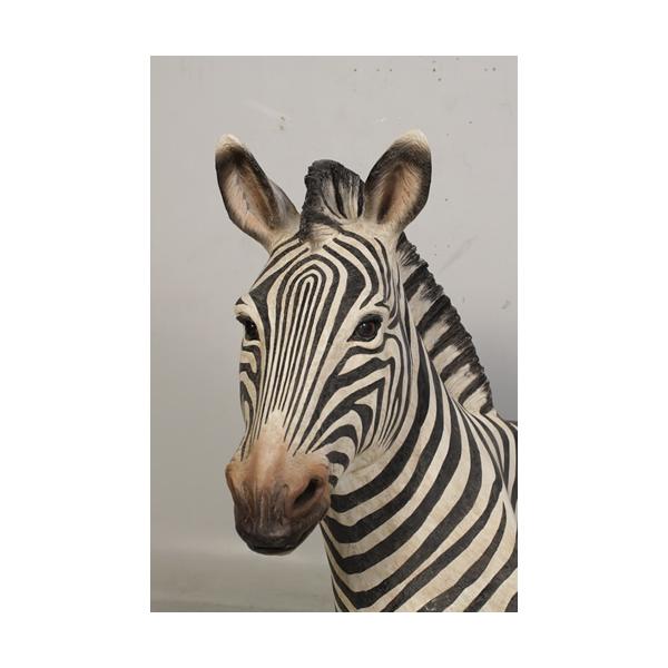 動物 オブジェ シマウマのベンチ インテリア イベント ディスプレイ Zebra Seatの画像