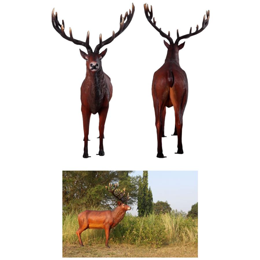 動物 オブジェ 雄鹿 インテリア イベント ディスプレイ Majestic Red Stagの画像