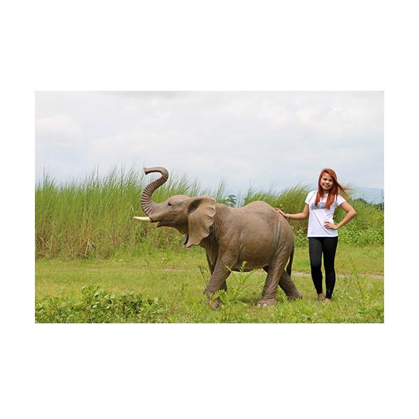 動物 オブジェ 子象 インテリア イベント ディスプレイ Elephantの画像