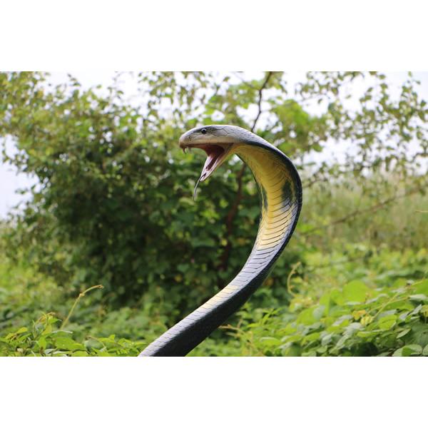 動物 オブジェ コブラ インテリア イベント ディスプレイ King Cobra