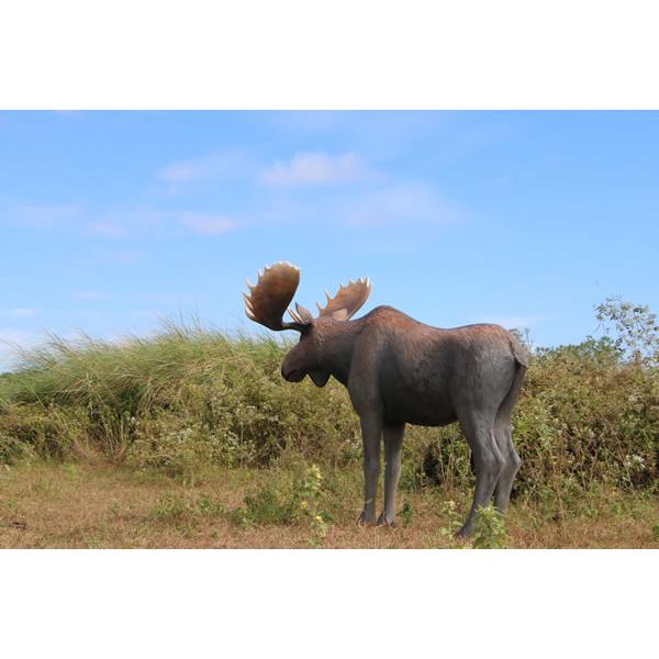 動物 オブジェ ムース インテリア イベント ディスプレイ Mooseの画像