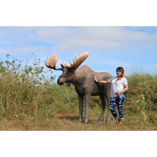 動物 オブジェ ムース インテリア イベント ディスプレイ Mooseの画像