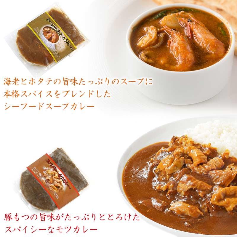北陸の絶品カレー 各2食 スパイシーモツカレー シーフードスープカレー Hc Hc Gracious Knick Knack 通販 Yahoo ショッピング