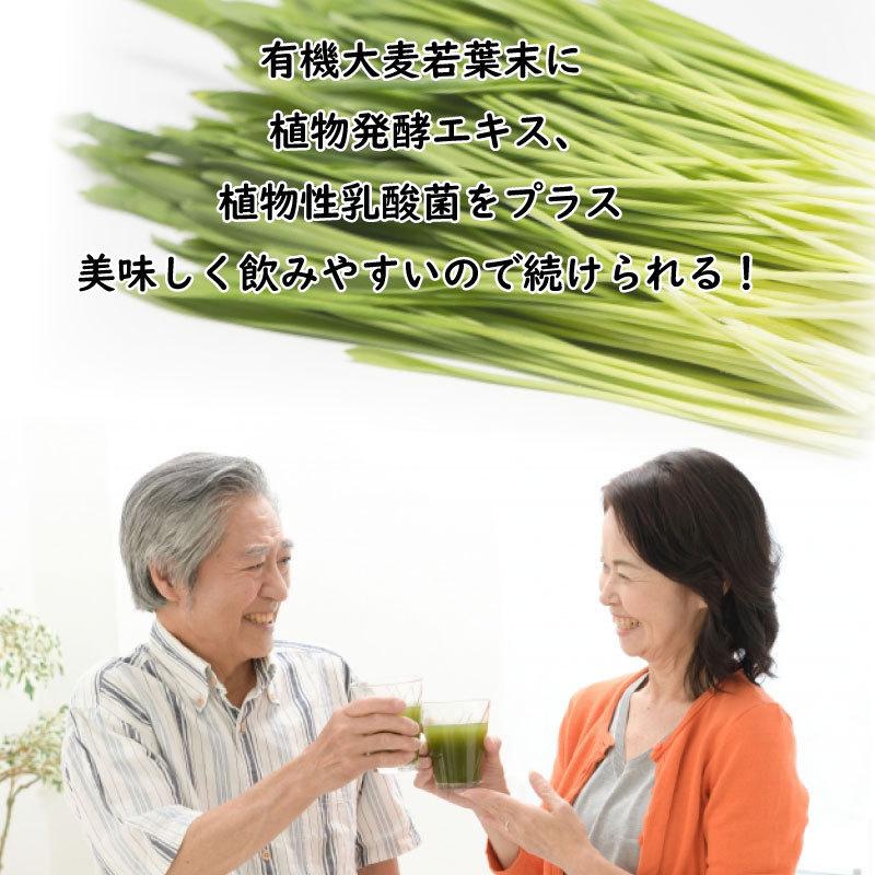 酵素青汁 40袋 箱なし 75種類の野菜酵素｜kinchan｜03