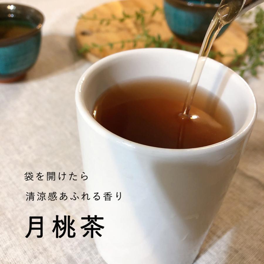 沖縄県産100%】月桃茶（2g×25包）×20袋 : 島食専門店 Kinchanchi