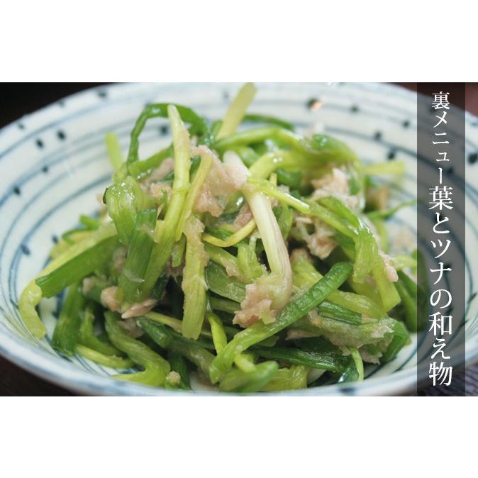 送料無料】島らっきょう(約1kg) 伊江島産 沖縄 おつまみ 沖縄 グルメ