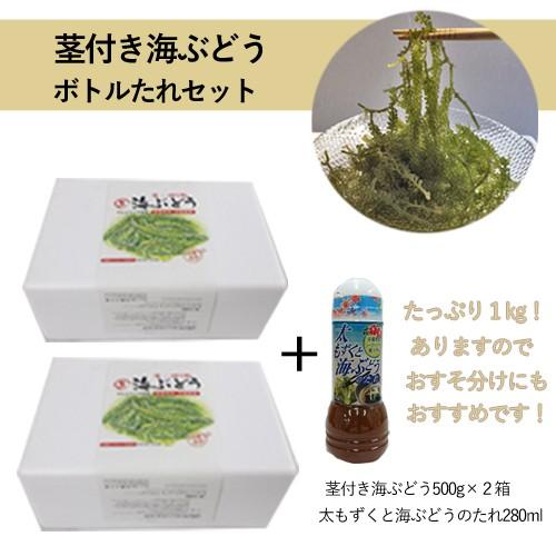 激安格安割引情報満載 お買い得 茎付き海ぶどう500g 2箱 280mlボトルたれセット