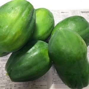 沖縄県産青パパイヤ23kg 沖縄産 青パパイヤ (約700g〜900g前後) : 島食専門店 Kinchanchi