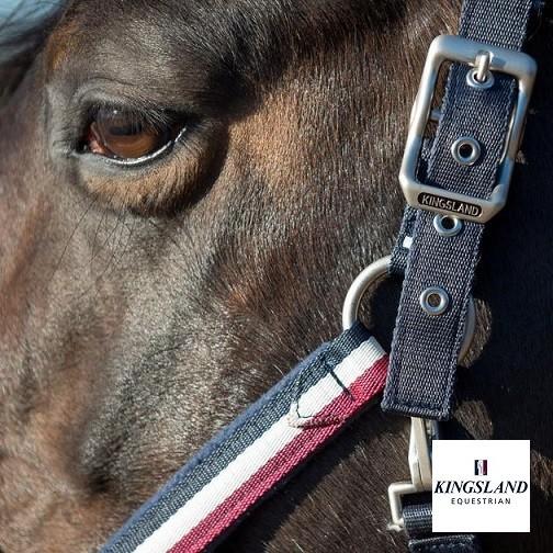 KINGSLAND キングスランド ホルター 無口 CLASSIC 乗馬 馬術 KINGSLAND キングスランド ホルター 無口 CLASSIC 乗馬 馬術