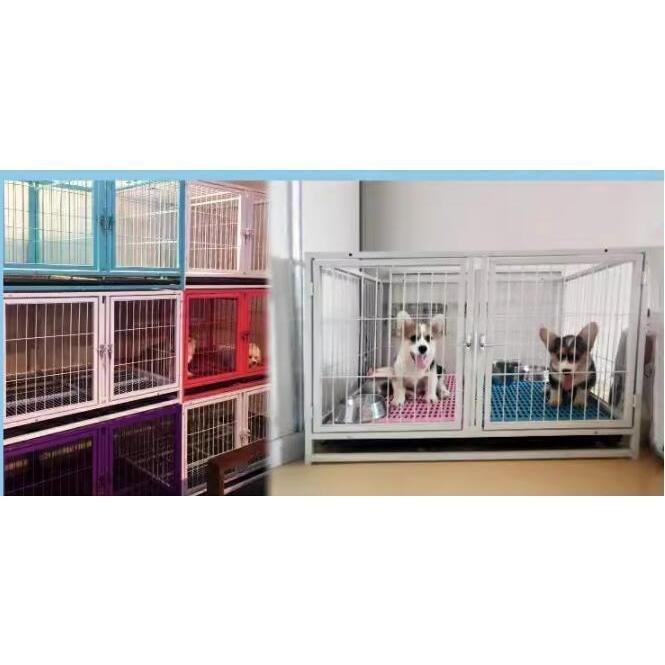 ペットゲージ ペットホテル ペットショップ クリニック 犬小屋 大型1段ゾンチー###ゲージD192### 室内用 お手入れ簡単 快適 小型犬 猫用品 家庭用 使いやすい_5