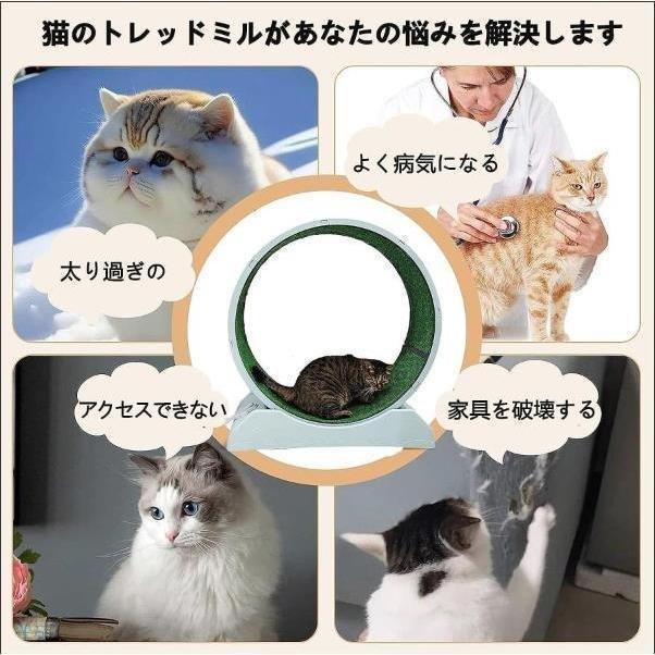 キャットホイール猫回し車ロック装置内蔵静音低ノイズ猫専用ルーム