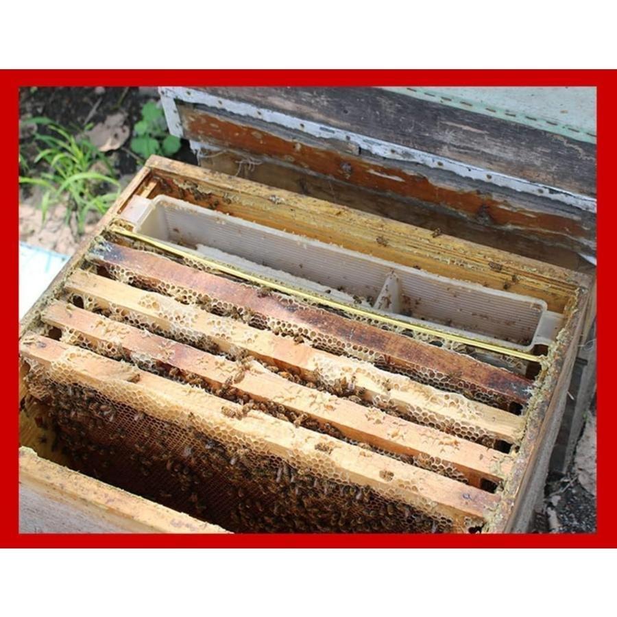 ミツバチ巣箱養蜂箱蜜蜂蜂ハイブミツバチ蜂の巣ハチミツの家ミツバチ捕獲箱7枠+5枚蜂ゾンチー板耐久性蜜蜂の巣箱養蜂ツール組み立てキット高い耐荷重性 ペッ_1