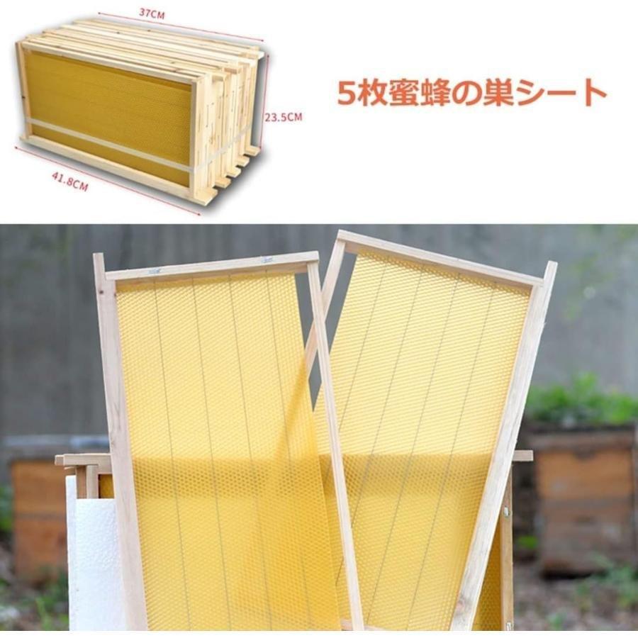 ミツバチ巣箱養蜂箱蜜蜂蜂ハイブミツバチ蜂の巣ハチミツの家ミツバチ捕獲箱7枠+5枚蜂ゾンチー板耐久性蜜蜂の巣箱養蜂ツール組み立てキット高い耐荷重性 ペッ_3