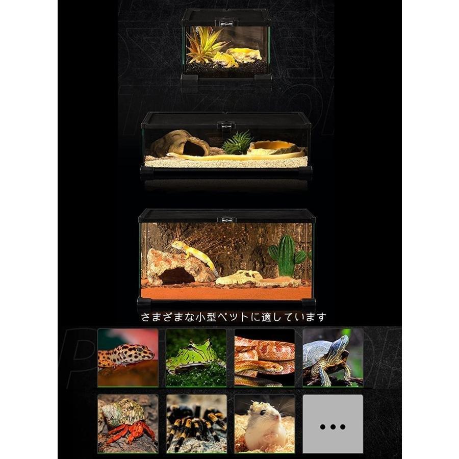 爬虫類ケージ飼育ケース透明飼育容器爬虫類?両生類飼育ケージトカゲ飼育セットレプタイルボックス株式会社錦脱出防止ペットケージ両生類生息地クモカエルカ_6