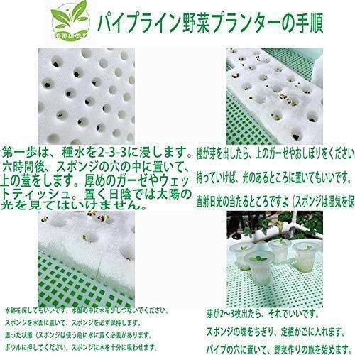 水耕栽培キット 栽培システム 健康 無土壌栽培設備 庭園栽培器 野菜栽培 家庭用 ベランダ 庭 野菜栽培設備です 野菜 栽培キット_7
