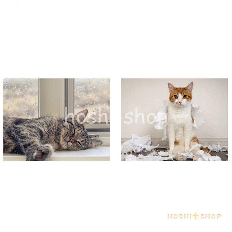 ペット用 お家 DH-2 サイズ ドッグハウス 家 ハウス ベッド 部屋 ペット部屋 小屋 ゲージ お洒落 犬 猫 いぬ ねこ 犬小屋 お洒落 犬 猫 ペット用 お家 DH サイズ ドッグハウス 家 ハウス ベッド 部屋 ペット部屋 小屋 ゲージ いぬ ねこ