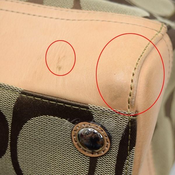 COACH（コーチ） シグネチャーキャリーオール F19725 ベージュ サイズ