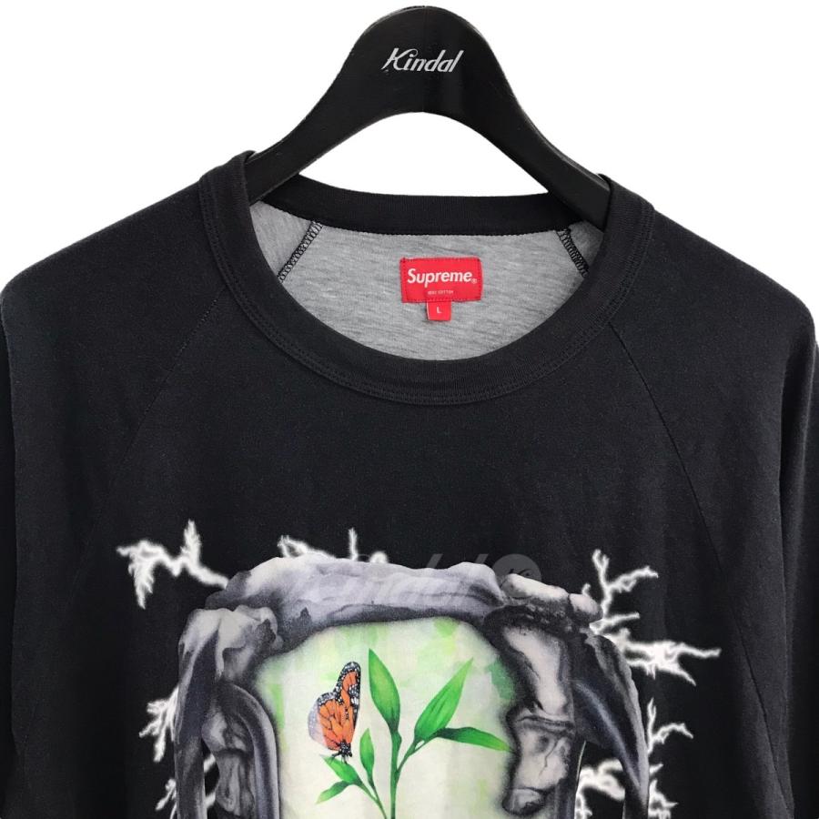 SUPREME 「Hourglass Raglan L／S Top 」 グラフィックプリント長袖T 
