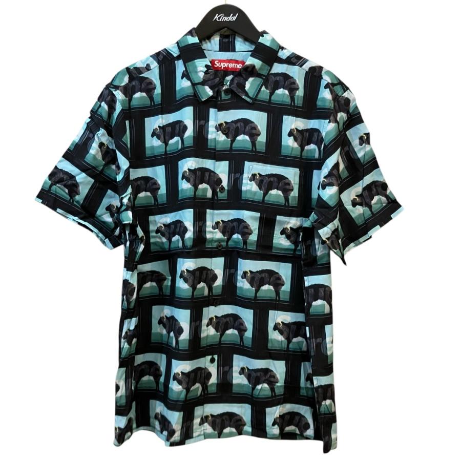 Supreme（シュプリーム） Supreme 25SS 「Damien Hirst S S Shirt