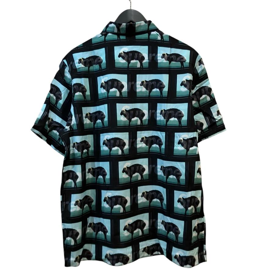 Supreme（シュプリーム） Supreme 25SS 「Damien Hirst S S Shirt