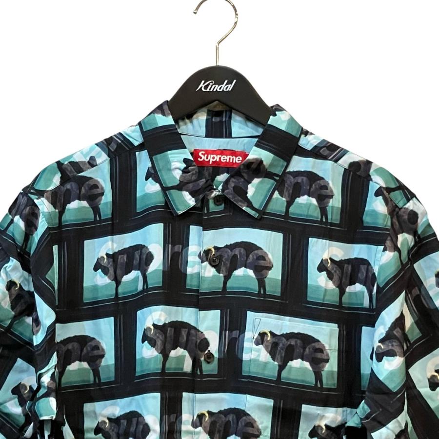Supreme（シュプリーム） Supreme 25SS 「Damien Hirst S S Shirt