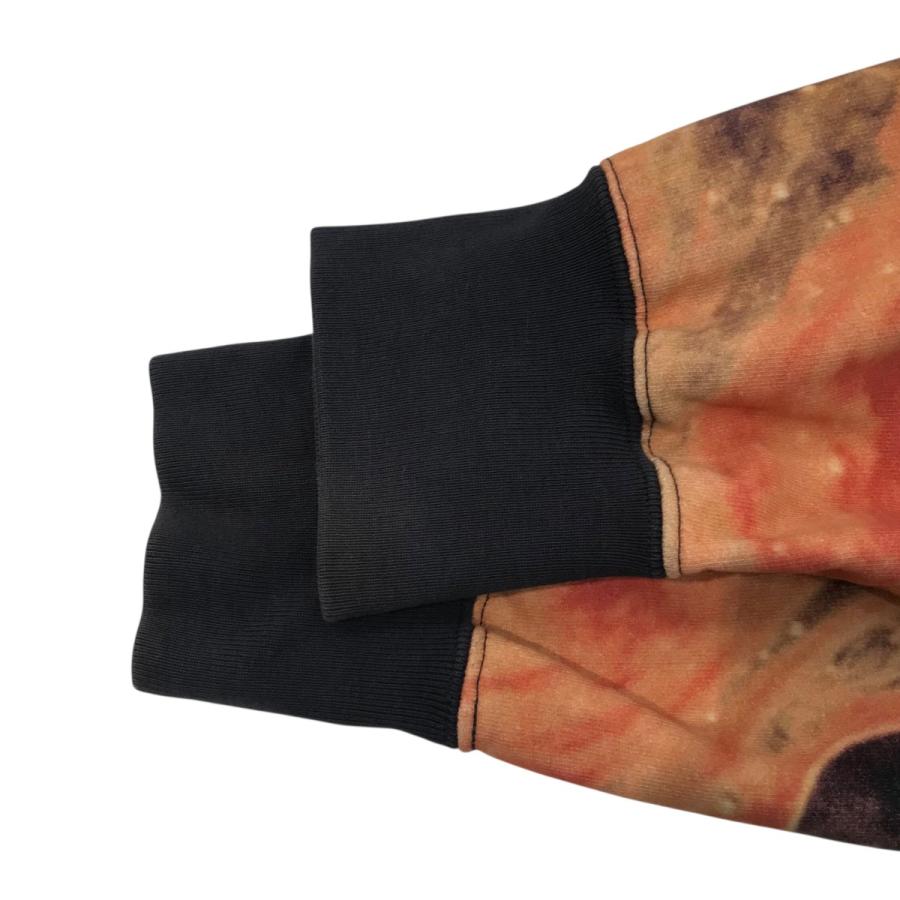 Supreme Andres Serrano 17aw パーカー Supreme×Andres Serrano 17AW「Blood and Semen Hooded Sweatshirt」総