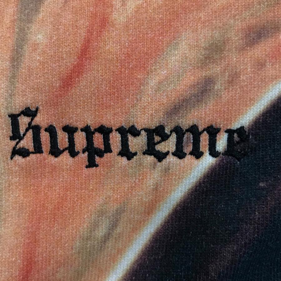 Supreme（シュプリーム） Supreme×Andres Serrano 17AW 「Blood and